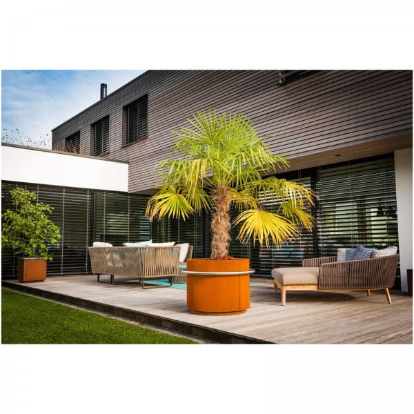 ums Metall vielseitiges Pflanzgefäß R502 aus Cortenstahl mit Edelstahlring und Bodensockel