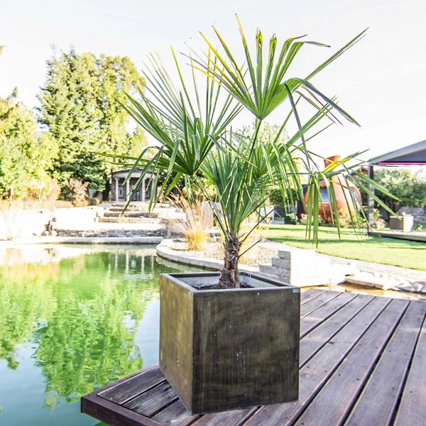 ums Metall - Pflanzgefäß K500 aus Messing