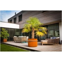 ums Metall vielseitiges Pflanzgefäß R502 aus Cortenstahl mit Edelstahlring und Bodensockel